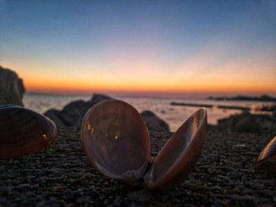 caravan Dalmatino Pleasure Mobile Home - Two Bedroom Mobile Home with Terrace - Outdoor photo 31