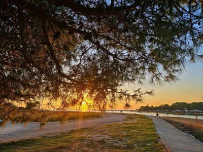 caravan Dalmatino Pleasure Mobile Home - Two Bedroom Mobile Home with Terrace - Outdoor photo 38