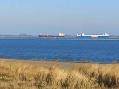 Holiday house Holiday Home in Zeeland near Lake - Environment photo 31