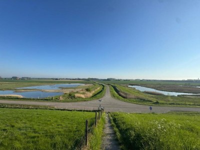 Holiday house Holiday Home in Zeeland near Lake - Environment photo 32