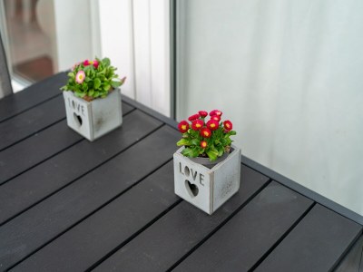 Holiday house Holiday Home in Zeeland near Lake - Outdoor photo 39