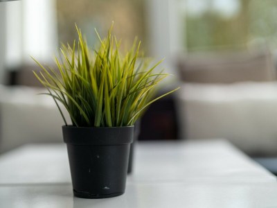 Holiday house Holiday Home in Zeeland near Lake - Outdoor photo 40