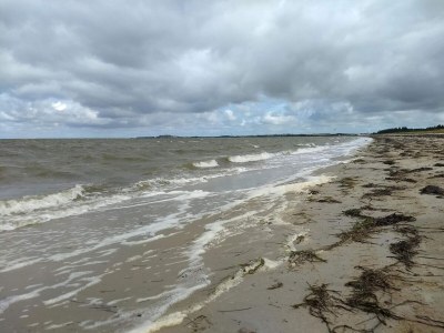 Holiday house 4 star holiday home in Løgstør-By Traum - Outdoor photo 18