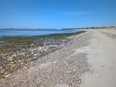 Holiday house 4 star holiday home in Løgstør-By Traum - Outdoor photo 37