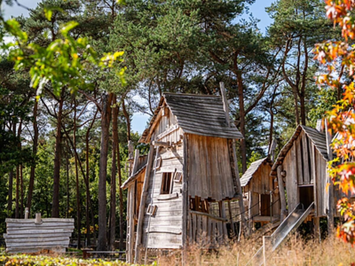 Holiday park Chalet by Park Pond in the Netherlands - Outdoor photo 5