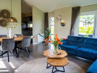 Holiday park Chalet by Park Pond in the Netherlands - Features photo 6