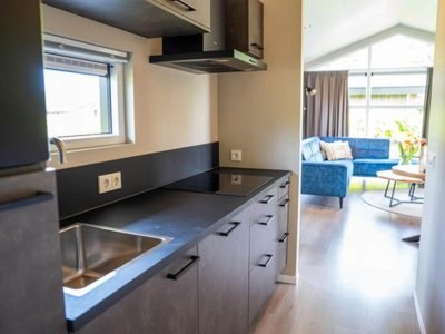 Holiday park Chalet by Park Pond in the Netherlands - Features photo 7