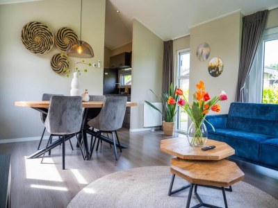 Holiday park Chalet by Park Pond in the Netherlands - Features photo 13