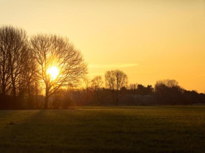 Holiday park Chalet by Park Pond in the Netherlands - Environment photo 15