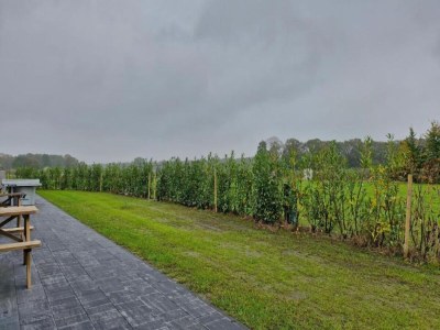 Holiday park Chalet by Park Pond in the Netherlands - Environment photo 16