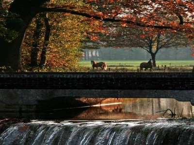 Holiday park Chalet by Park Pond in the Netherlands - Environment photo 17