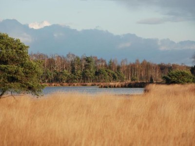 Holiday park Chalet by Park Pond in the Netherlands - Environment photo 18