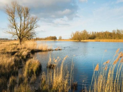 Holiday park Chalet by Park Pond in the Netherlands - Environment photo 20
