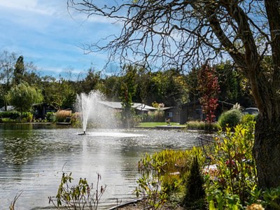 Holiday park Chalet by Park Pond in the Netherlands - Environment photo 21