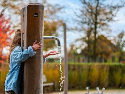 Holiday park Chalet by Park Pond in the Netherlands - Outdoor photo 23