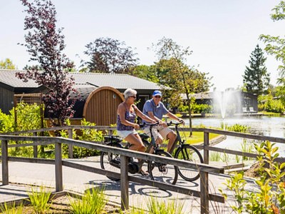 Holiday park Chalet by Park Pond in the Netherlands - Outdoor photo 26