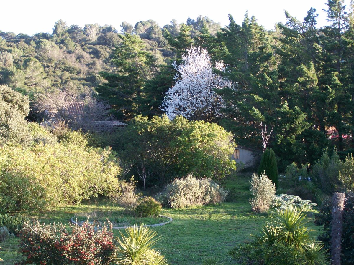 Holiday apartment L'Onida - Outdoor photo 5