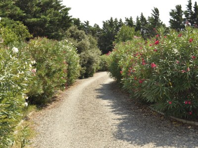 Holiday apartment L'Onida - Outdoor photo 4