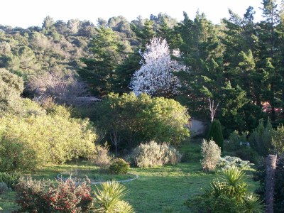 Holiday apartment L'Onida - Outdoor photo 5