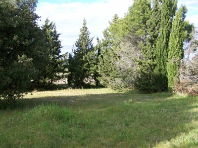 Holiday apartment L'Onida - Outdoor photo 6