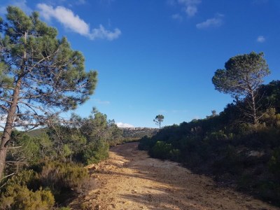 Holiday apartment L'Onida - Environment photo 15