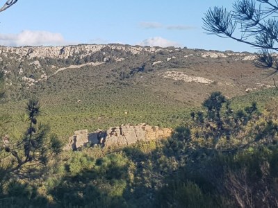 Holiday apartment L'Onida - Environment photo 16