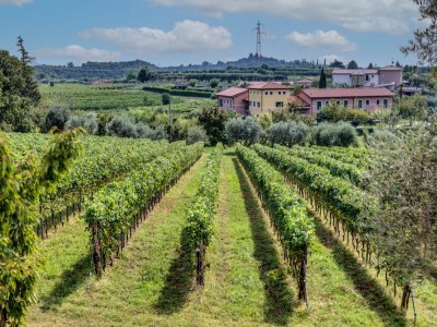 Residence Palù Trilo Plus - Environment photo 11
