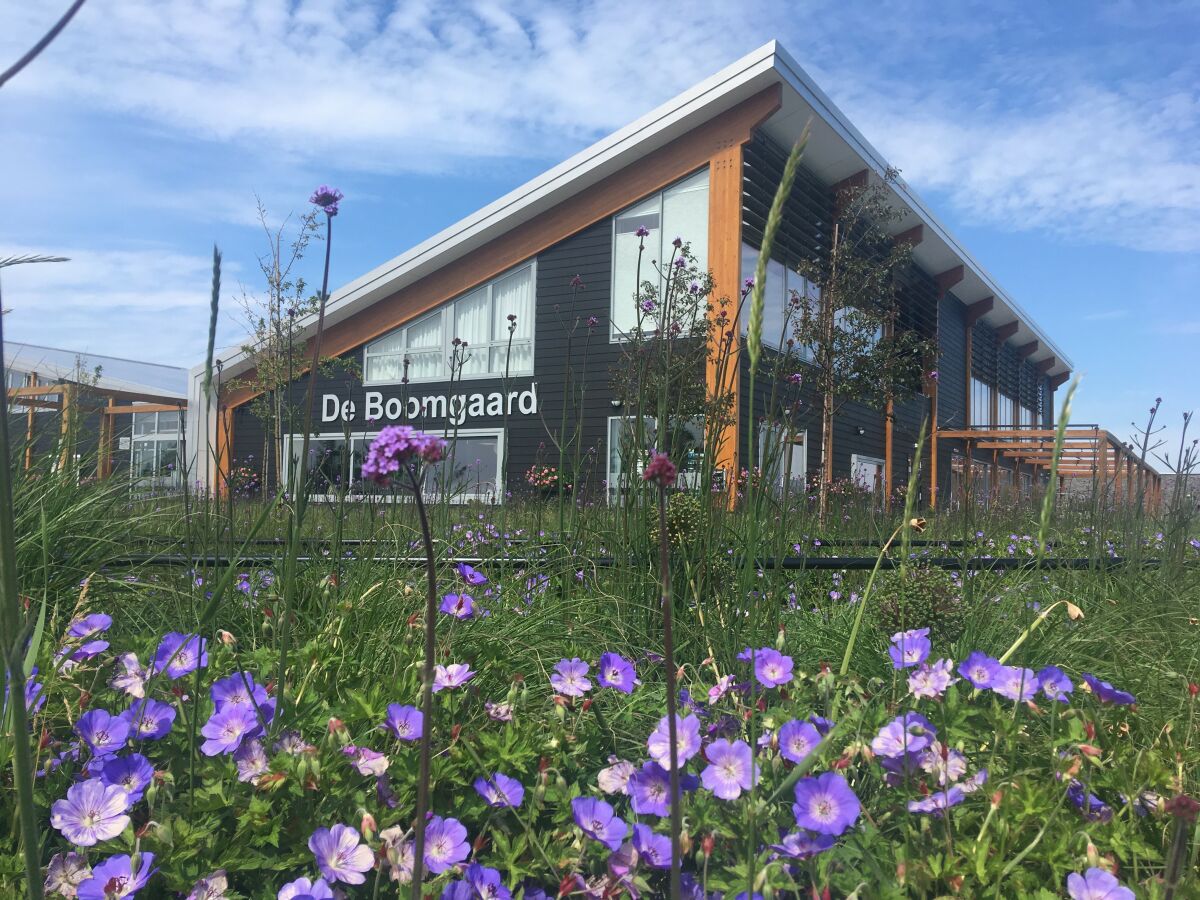 Chalet Duinrand - Outdoor photo 3