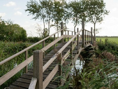 Apartment Pet-friendly Apartment in Sint Maartensbrug - Environment photo 21