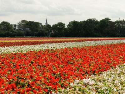 Apartment Pet-friendly Apartment in Sint Maartensbrug - Environment photo 22
