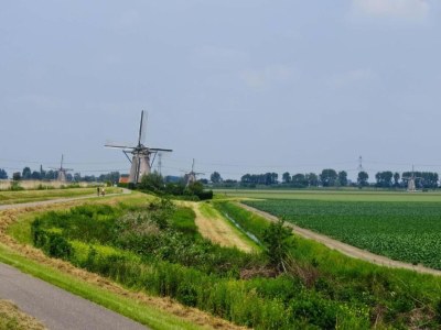 Apartment Pet-friendly Apartment in Sint Maartensbrug - Environment photo 26