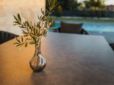 Holiday house Villa Angelina mit Pool and Whirlpool - Features photo 32