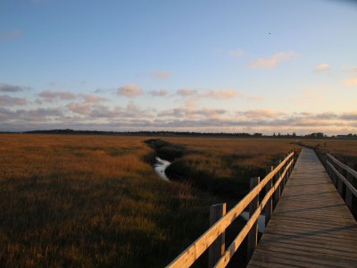 Holiday house een - Environment photo 20