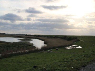 Holiday house een - Environment photo 25