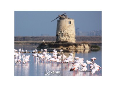 Villa Uluvud - Environment photo 25