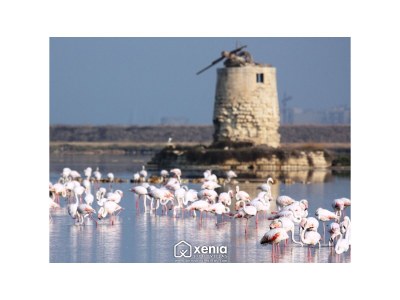 Villa Lido Valderice - Environment photo 20