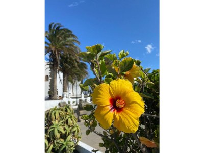 Villa Casa Árbol del fuego - Environment photo 31