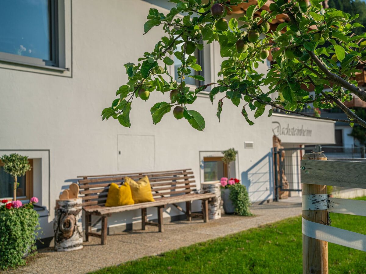 Holiday house Chalet in Filzmoos near Tauern Mountains - Outdoor photo 3