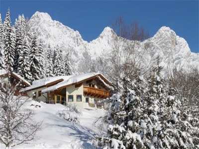 Holiday house Chalet in Filzmoos near Tauern Mountains - Outdoor photo 6