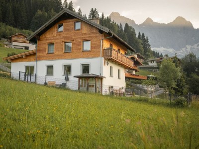 Holiday house Chalet in Filzmoos near Tauern Mountains - Outdoor photo 8