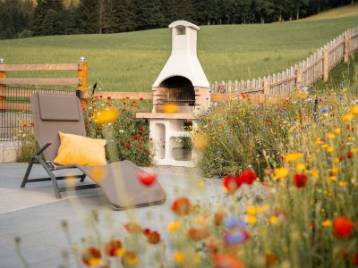 Holiday house Chalet in Filzmoos near Tauern Mountains - Outdoor photo 10