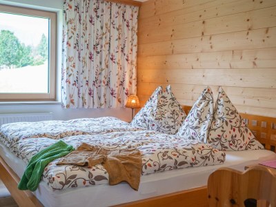 Holiday house Chalet in Filzmoos near Tauern Mountains - Features photo 22