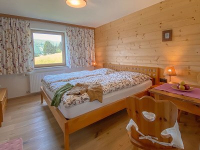 Holiday house Chalet in Filzmoos near Tauern Mountains - Features photo 23