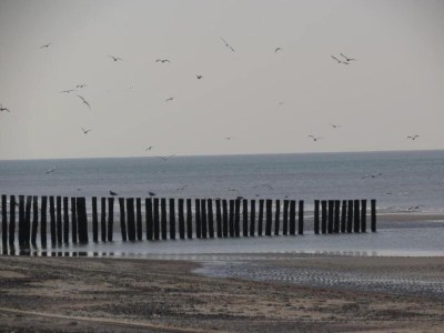 Holiday house Ferienhaus in Renesse nahe Strand - Environment photo 38