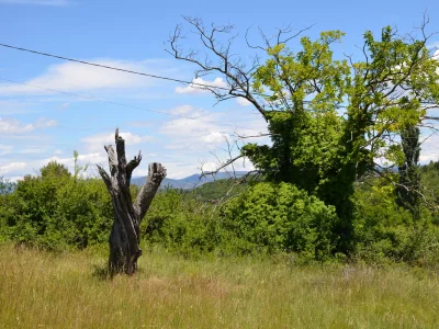 Holiday house Les Murets - Outdoor photo 6
