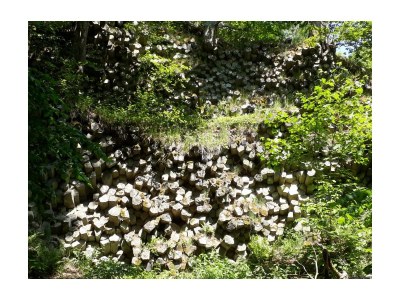 Holiday apartment Grösch - Environment photo 16