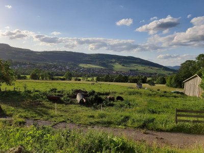 Holiday apartment Grösch - Environment photo 17