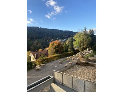 Holiday apartment Die grüne Auszeit - Outdoor photo 3