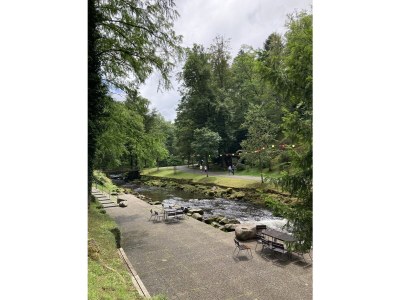 Holiday apartment Die grüne Auszeit - Environment photo 17