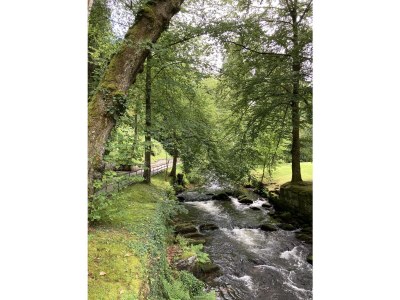 Holiday apartment Die grüne Auszeit - Environment photo 19